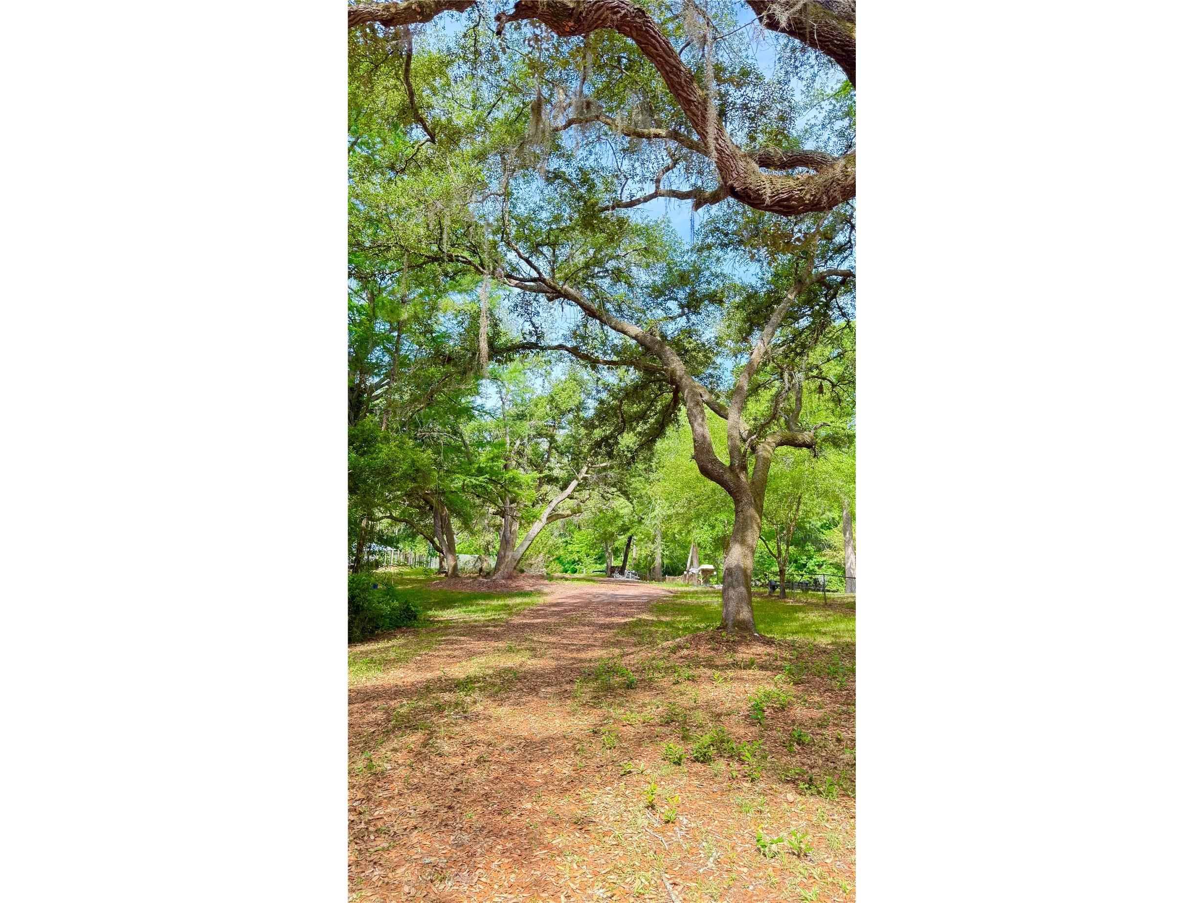 2905 Creek Street Middleburg FL 32068 - Black Creek FC318365 image22