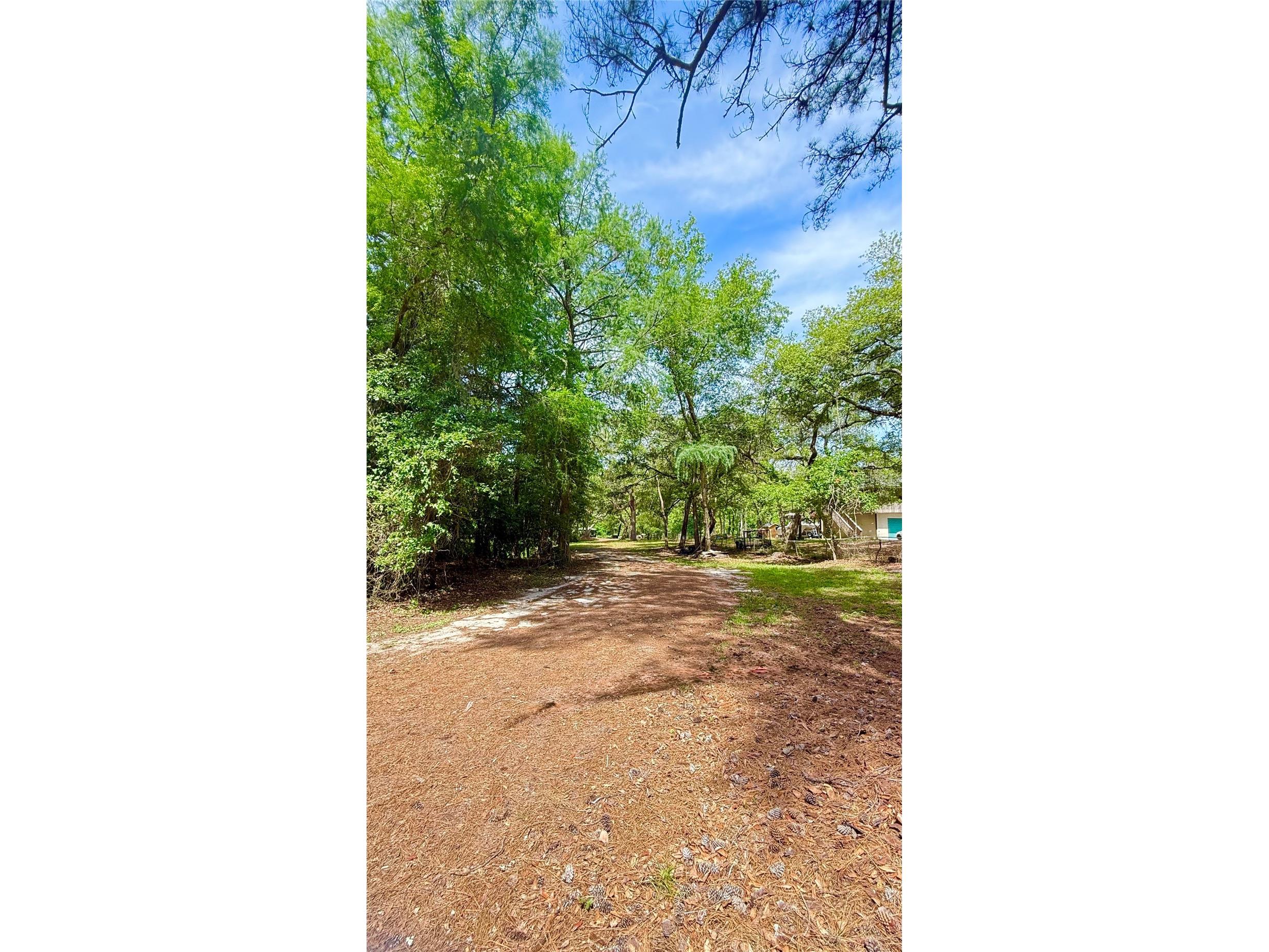 2905 Creek Street Middleburg FL 32068 - Black Creek FC318365 image25