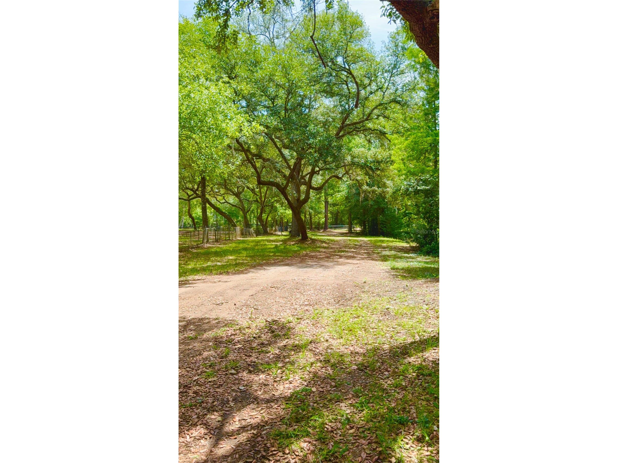 2905 Creek Street Middleburg FL 32068 - Black Creek FC318365 image27
