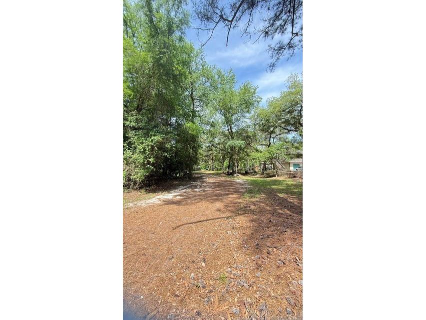 2905 Creek Street Middleburg FL 32068 - Black Creek FC318365 image5
