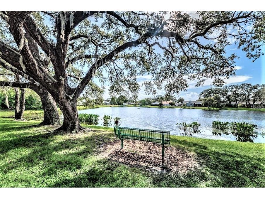 2905 Featherstone Drive Holiday FL 34691 TB8460729 image22