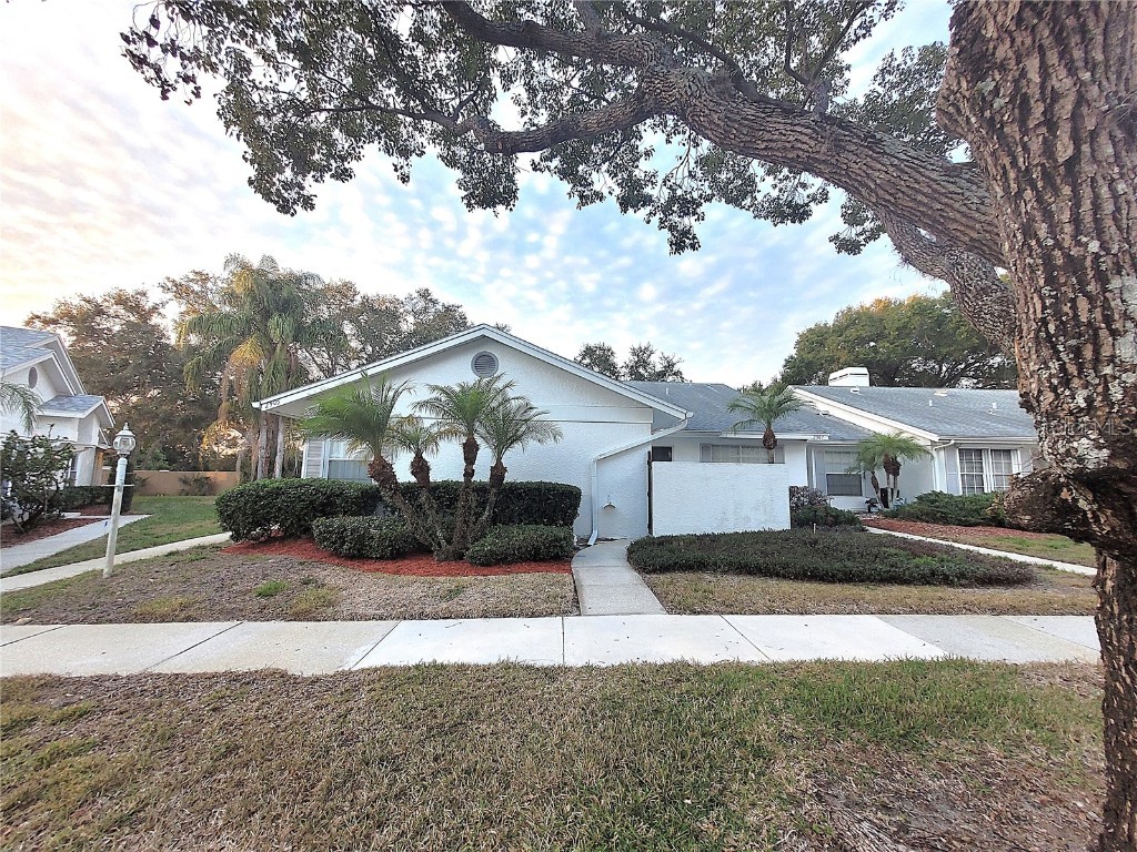 2905 Featherstone Drive Holiday FL 34691 TB8460729 image4