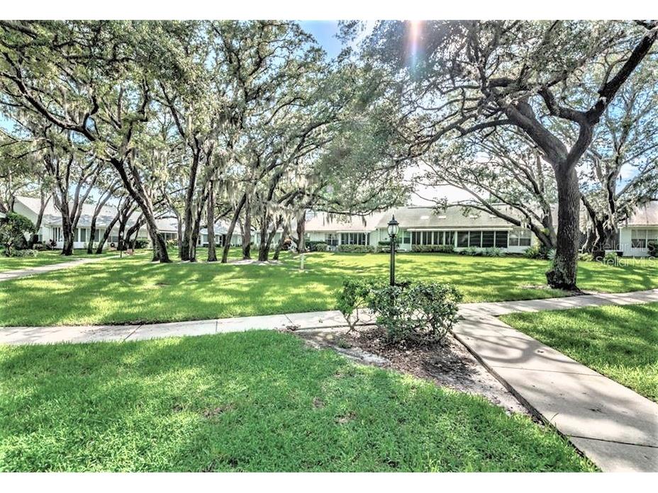 2905 Featherstone Drive Holiday FL 34691 TB8460729 image9