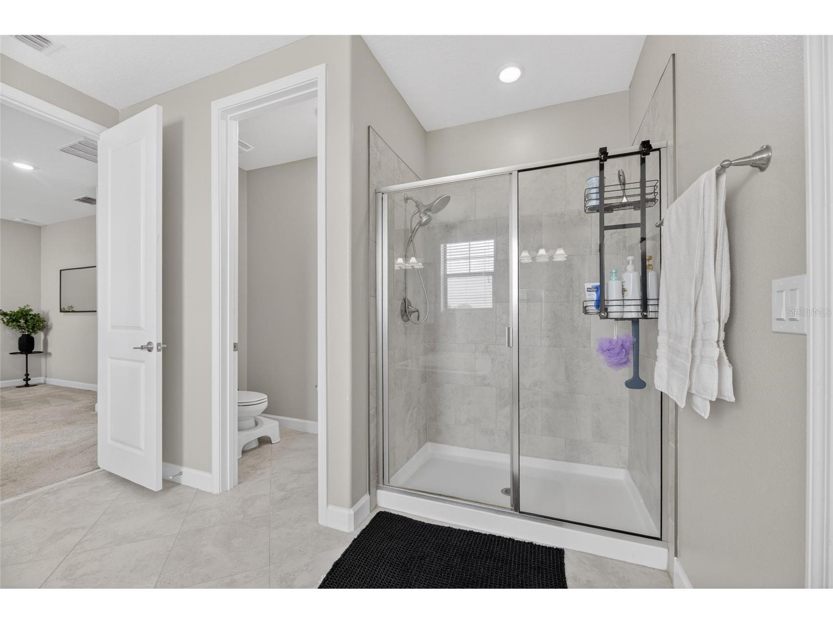 2905 Hilliard Drive Wesley Chapel FL 33543 TB8508229 image56
