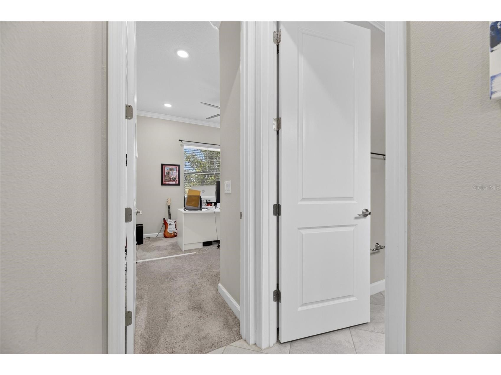 2905 Hilliard Drive Wesley Chapel FL 33543 TB8508229 image59