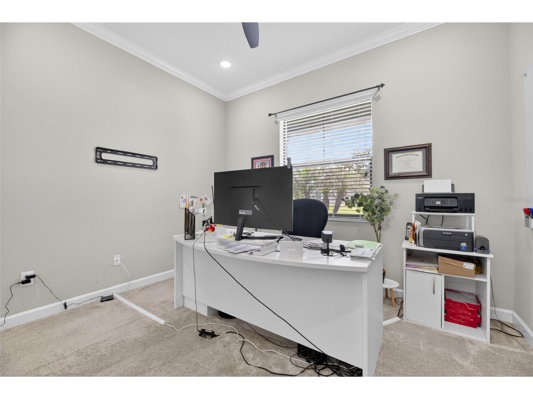2905 Hilliard Drive Wesley Chapel FL 33543 TB8508229 image61
