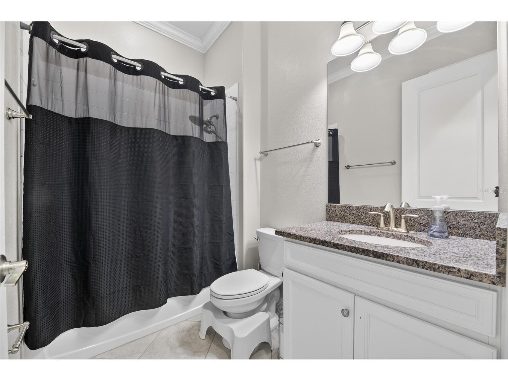 2905 Hilliard Drive Wesley Chapel FL 33543 TB8508229 image63