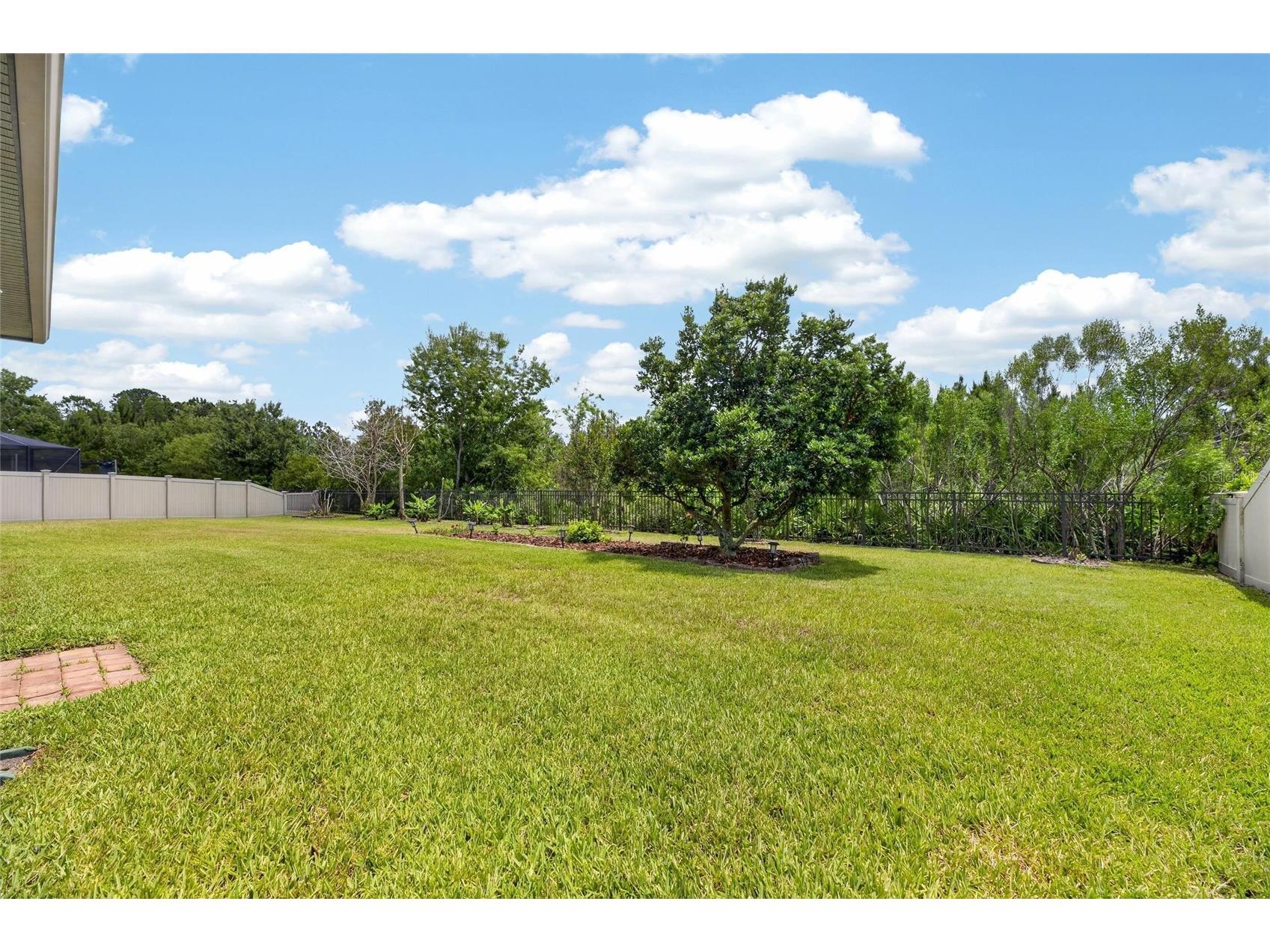 2905 Hilliard Drive Wesley Chapel FL 33543 TB8508229 image68
