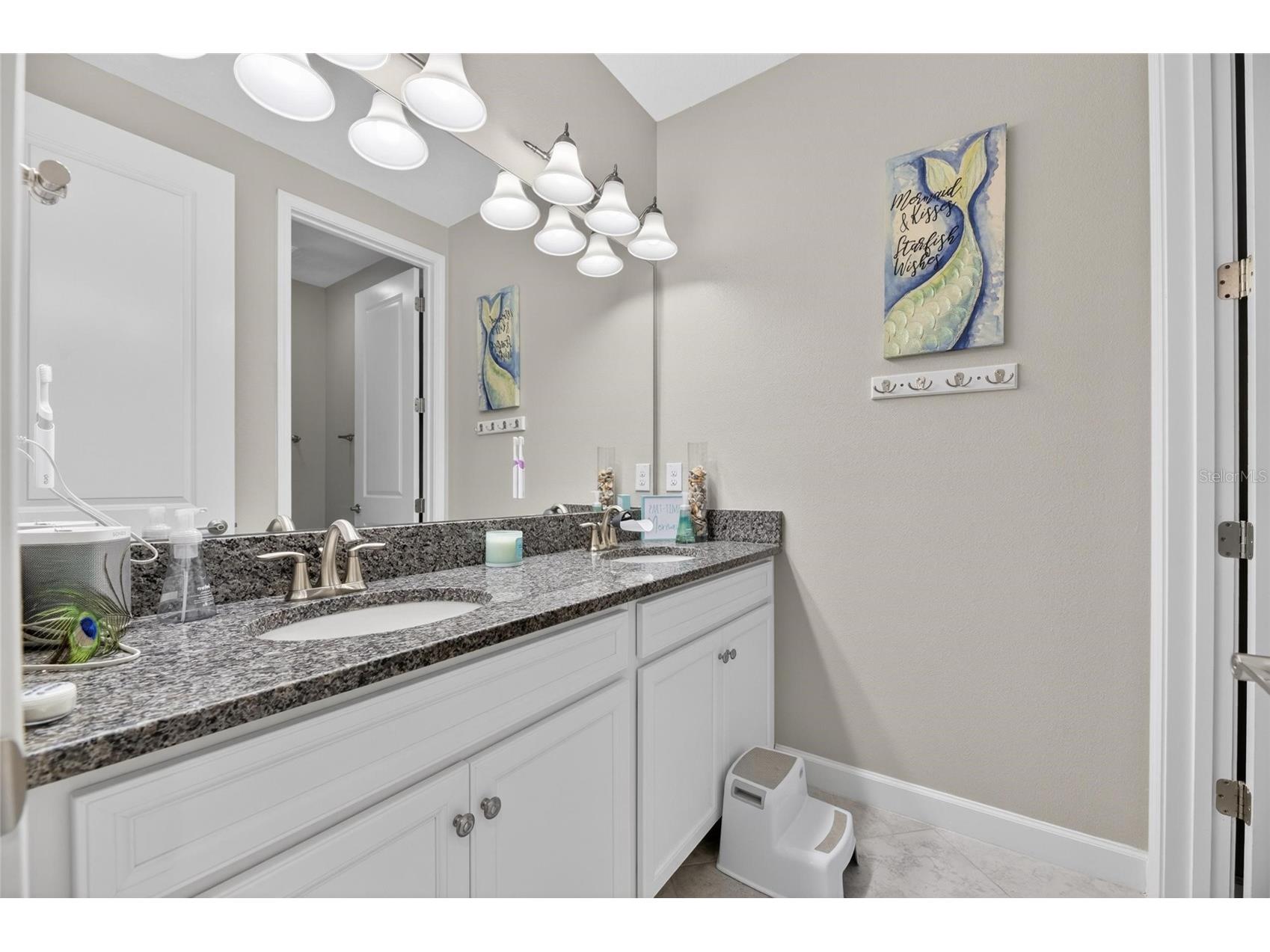 2905 Hilliard Drive Wesley Chapel FL 33543 TB8508295 image38
