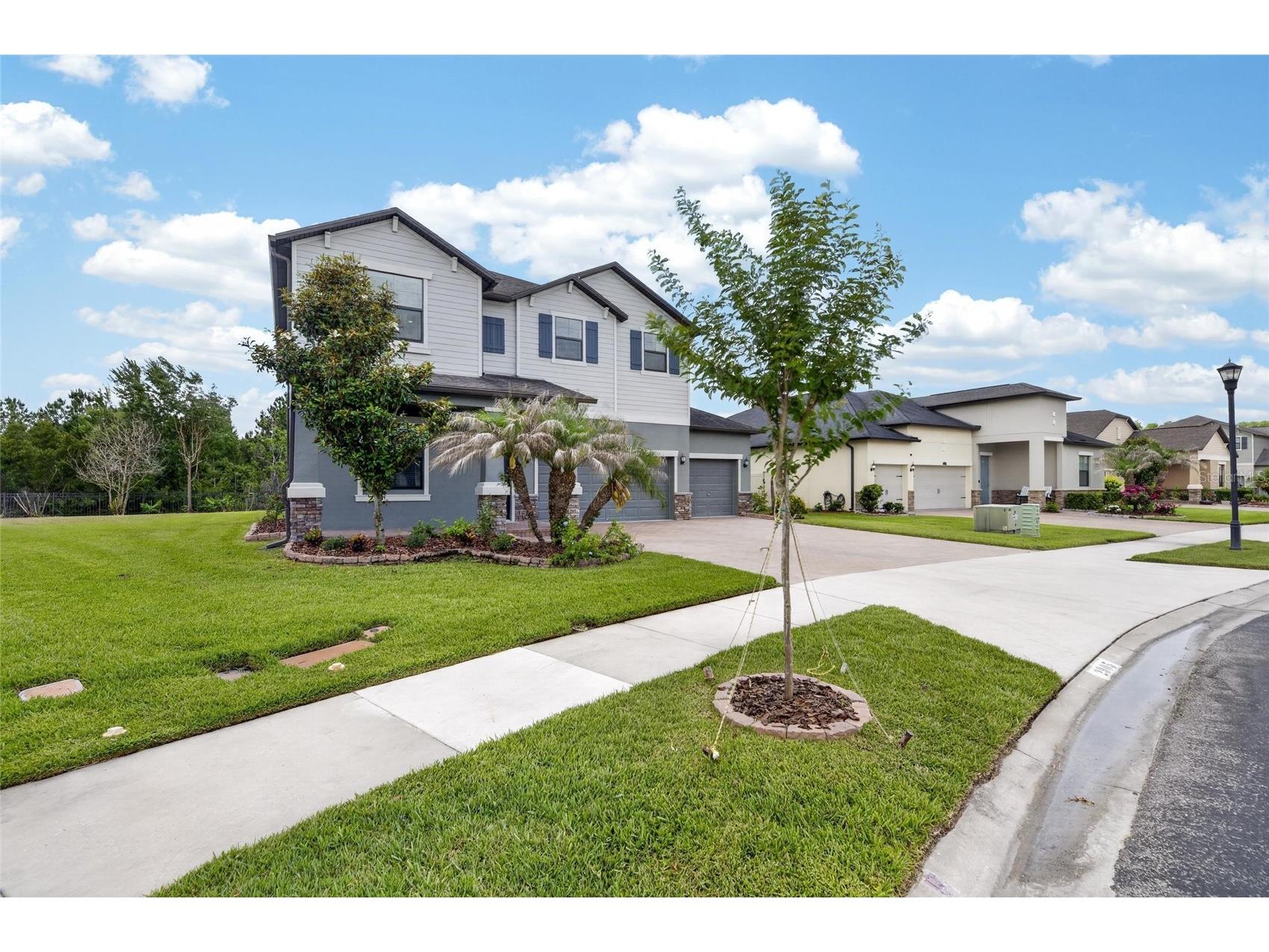 2905 Hilliard Drive Wesley Chapel FL 33543 TB8508295 image5