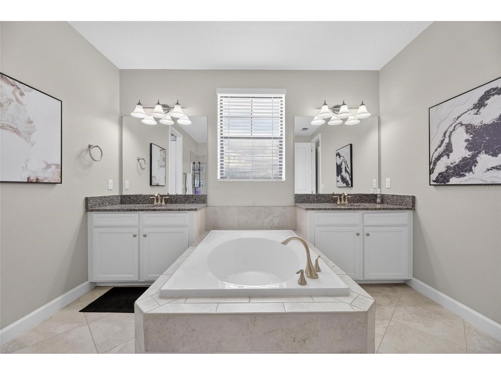 2905 Hilliard Drive Wesley Chapel FL 33543 TB8508295 image57