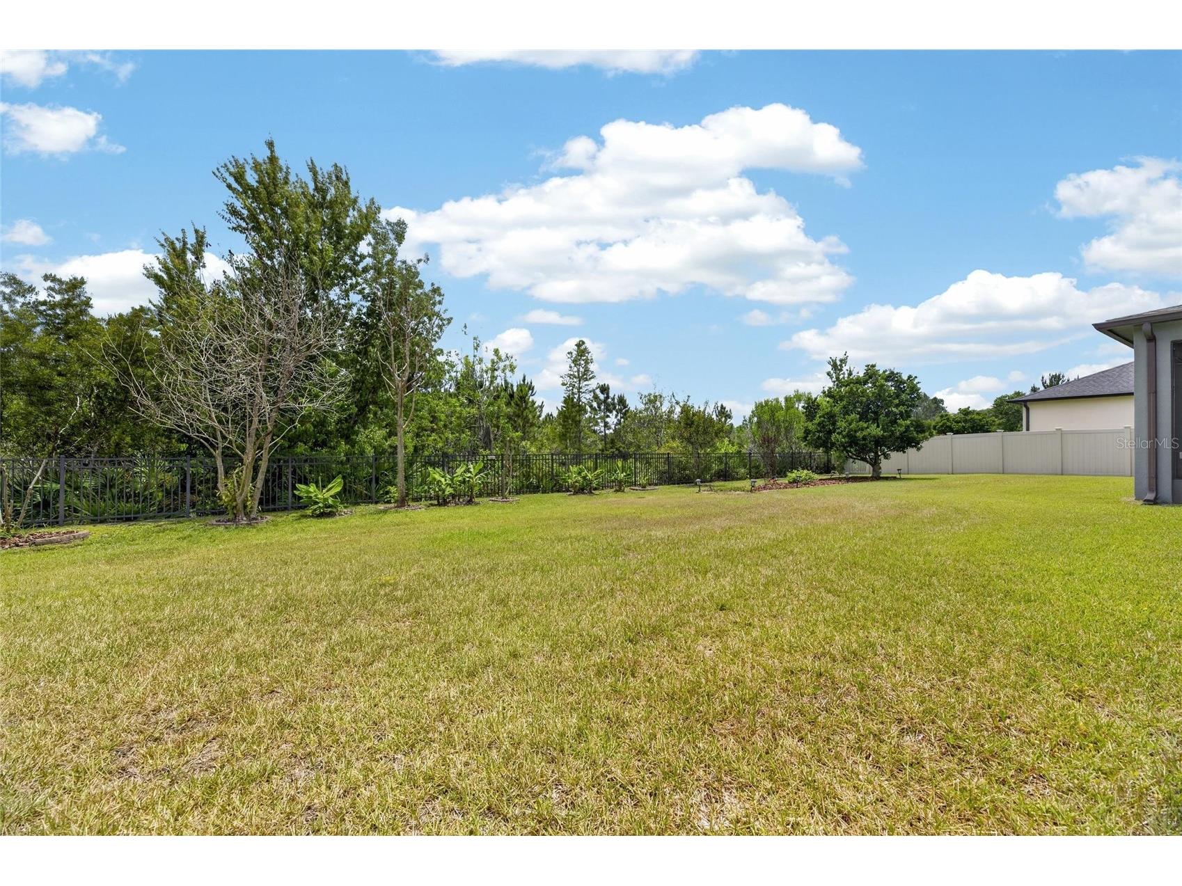 2905 Hilliard Drive Wesley Chapel FL 33543 TB8508295 image74