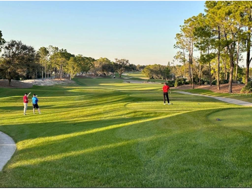 2905 Kokomo Loop Haines City FL 33844 S5131834 image18