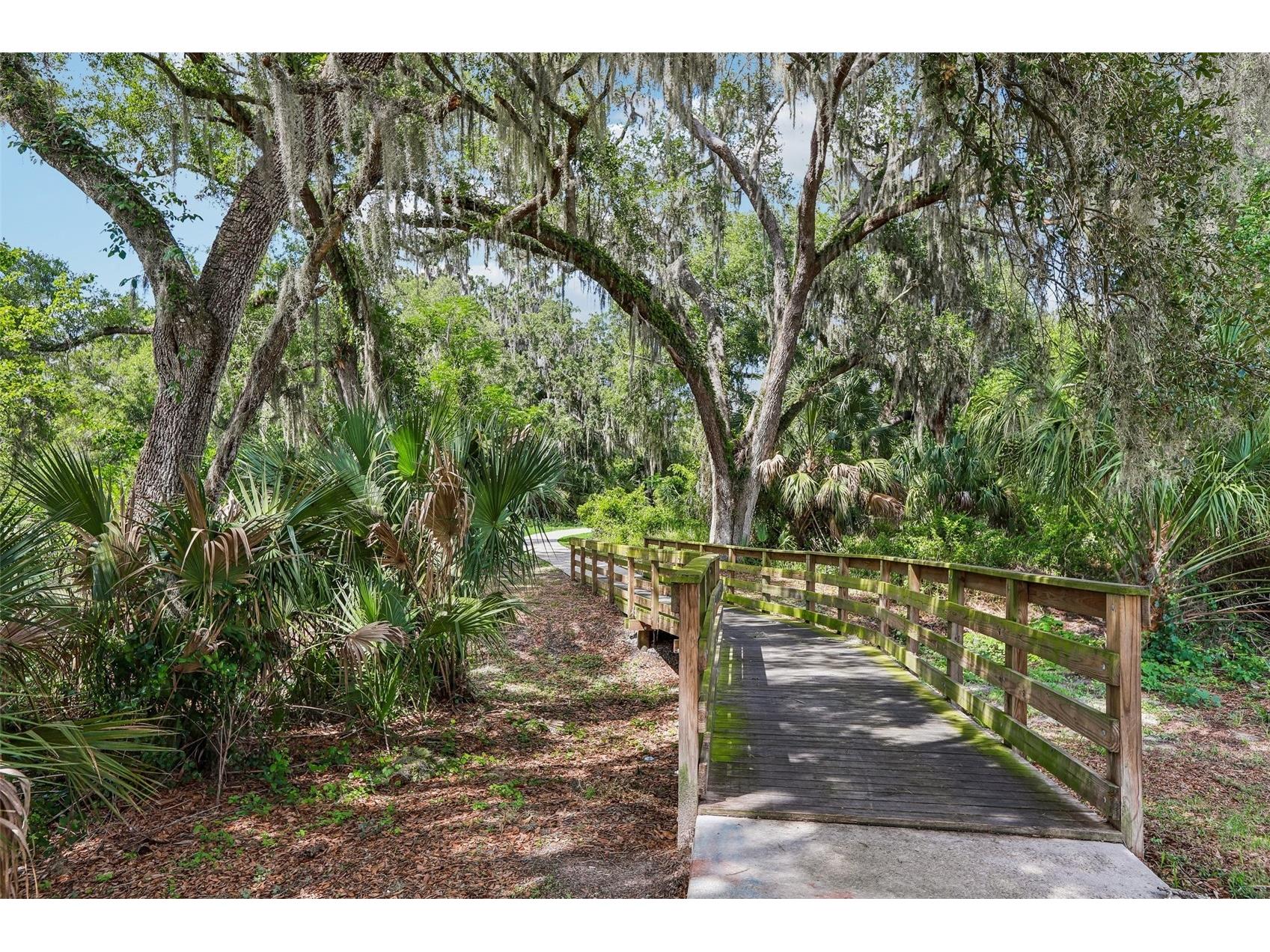 2905 Lytton Hall Drive Zephyrhills FL 33540 TB8508009 image57
