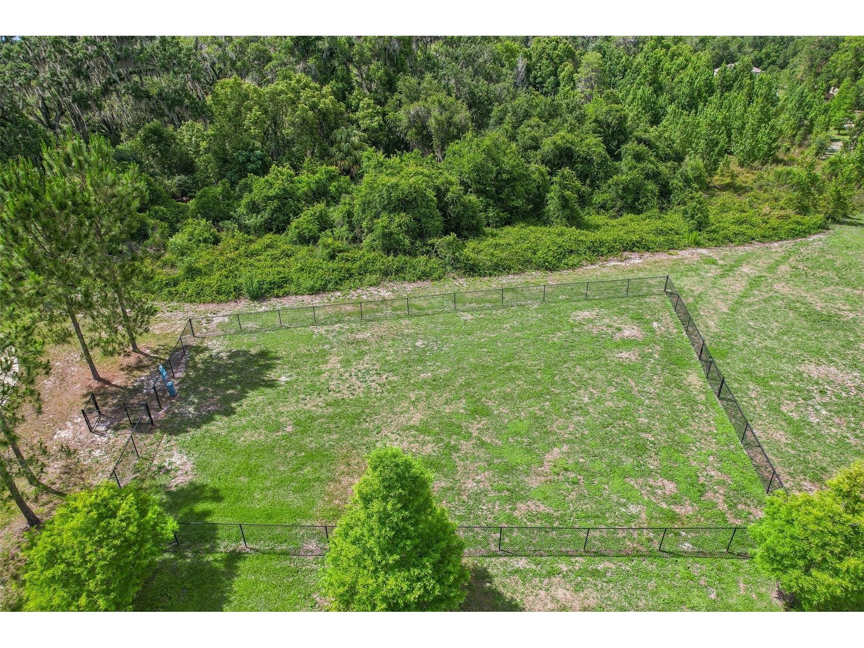 2905 Lytton Hall Drive Zephyrhills FL 33540 TB8508009 image58