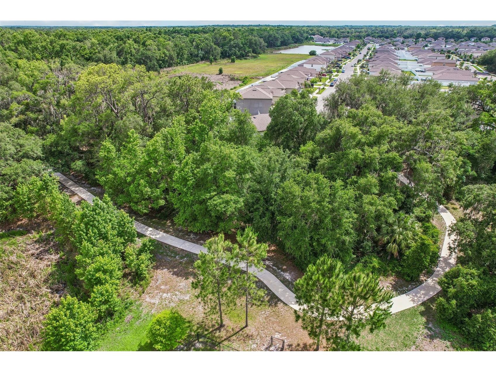 2905 Lytton Hall Drive Zephyrhills FL 33540 TB8508009 image59