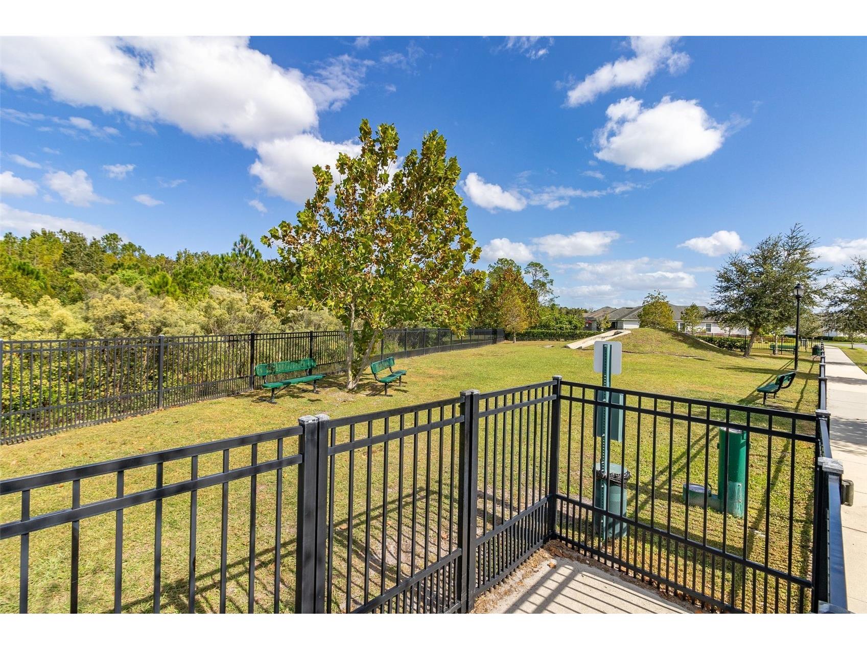 2905 Satire Street Kissimmee FL 34746 O6411574 image51