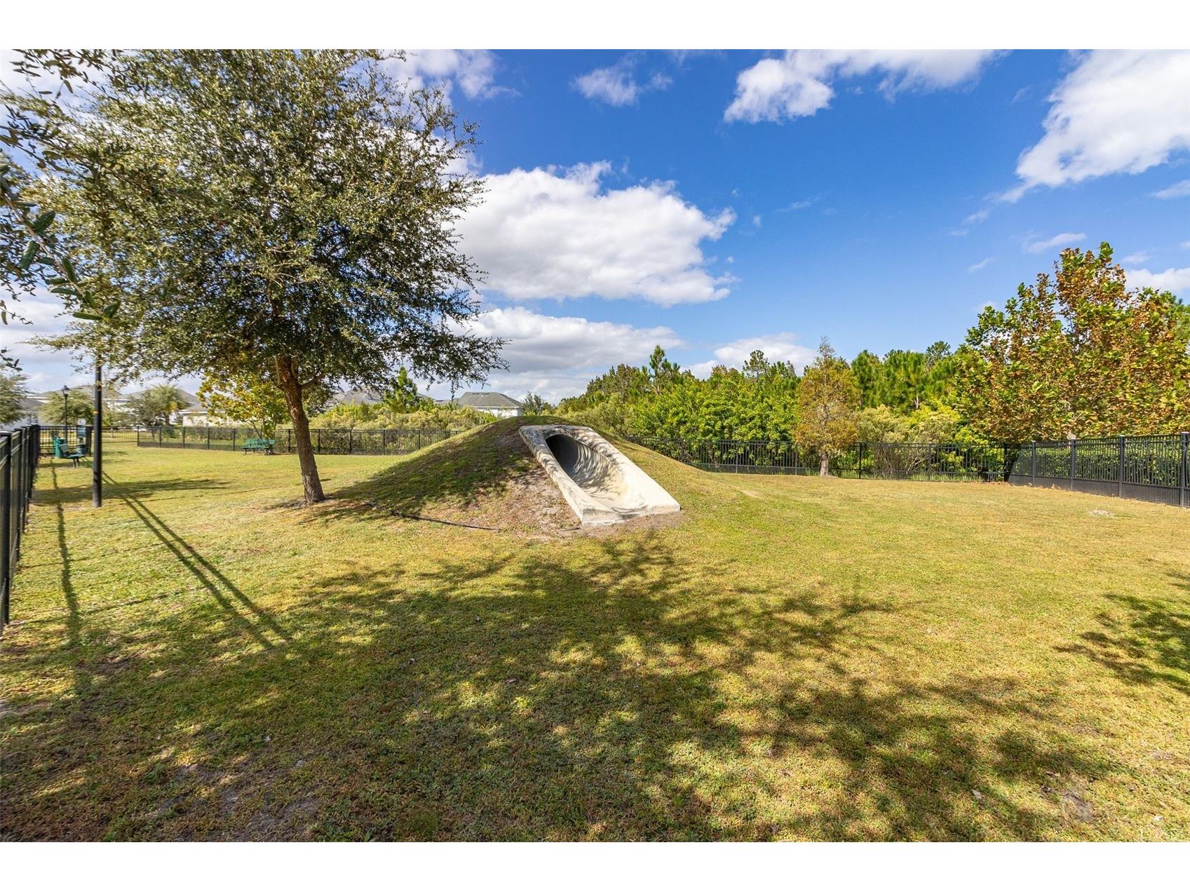 2905 Satire Street Kissimmee FL 34746 O6411574 image52