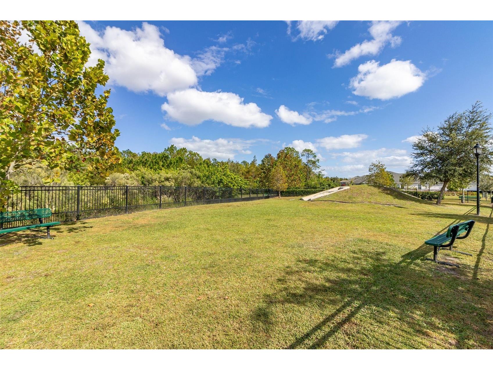 2905 Satire Street Kissimmee FL 34746 O6411574 image53
