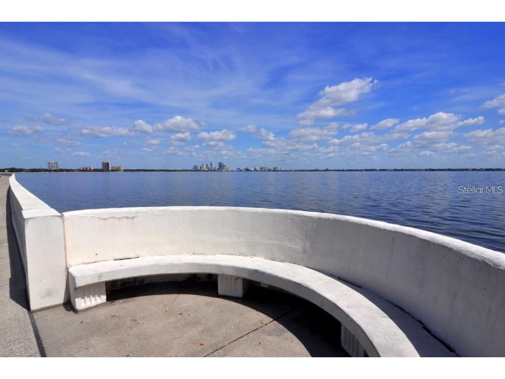 2905 W Bay Court Avenue Tampa FL 33611 TB8423485 image36