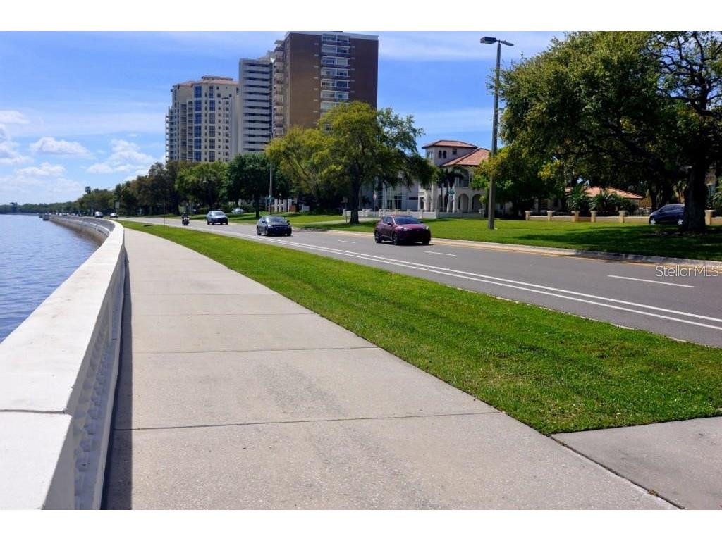 2905 W Bay Court Avenue Tampa FL 33611 TB8423485 image37
