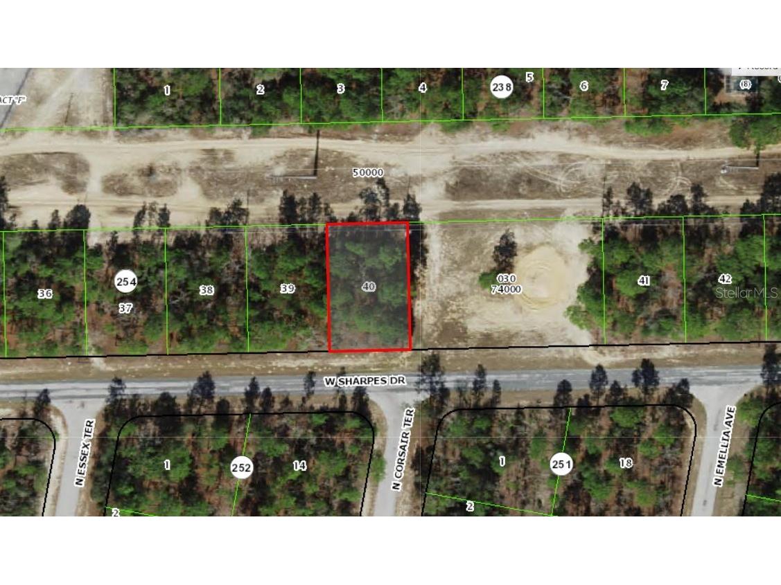 2905 W Sharpes Drive Citrus Springs FL 34433 OM702899 image2