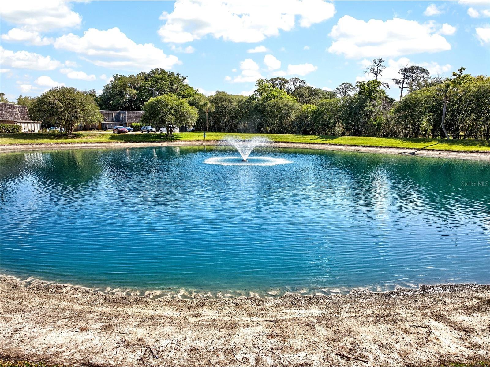 2906 Ash Drive Leesburg FL 34748 G5111365 image40