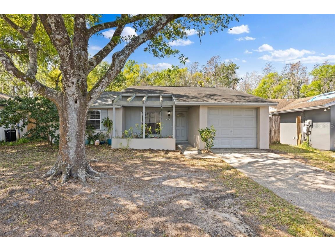 2906 Cedaridge Drive Tampa FL 33618 TB8361863 image1