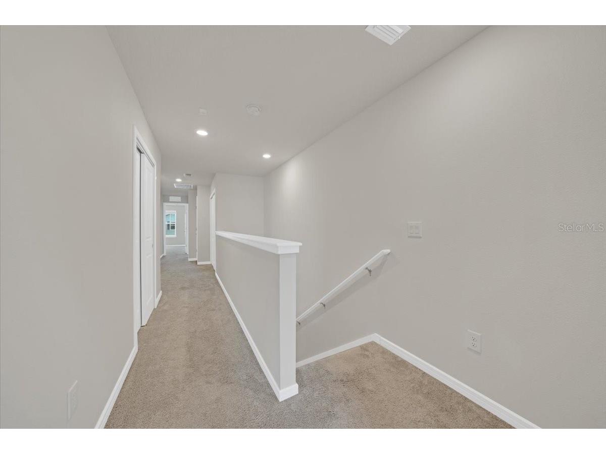 2906 Deer Pine Trail Land O Lakes FL 34638 TB8508284 image21