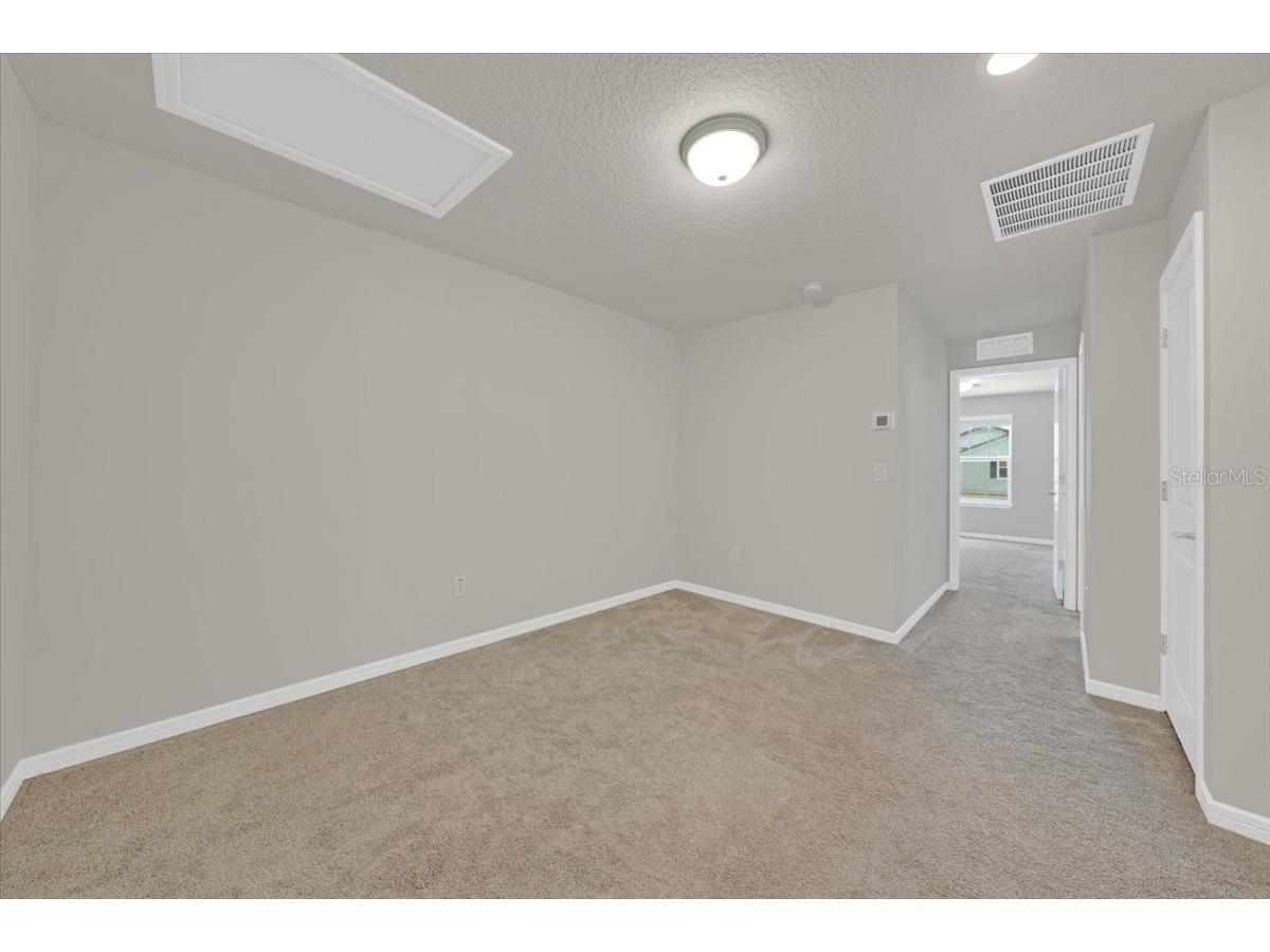 2906 Deer Pine Trail Land O Lakes FL 34638 TB8508284 image26