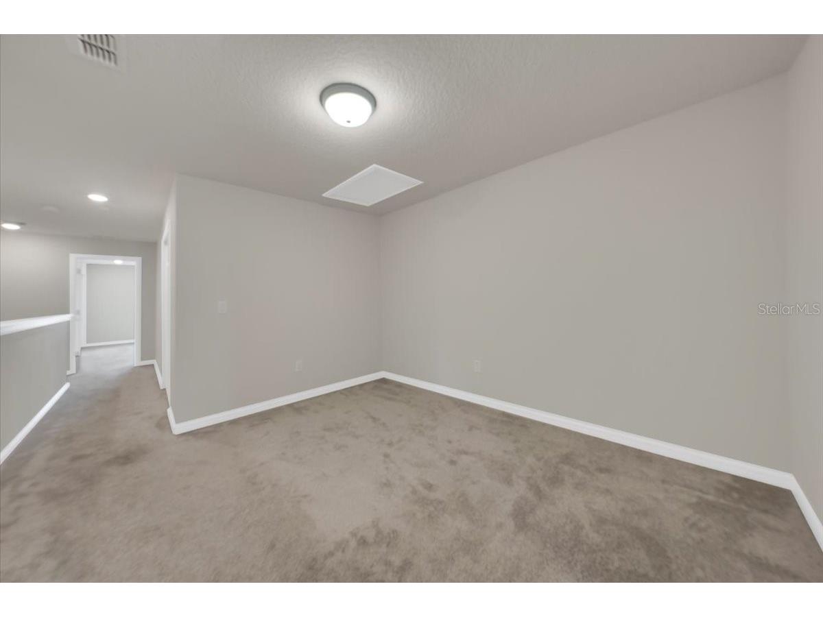 2906 Deer Pine Trail Land O Lakes FL 34638 TB8508284 image27