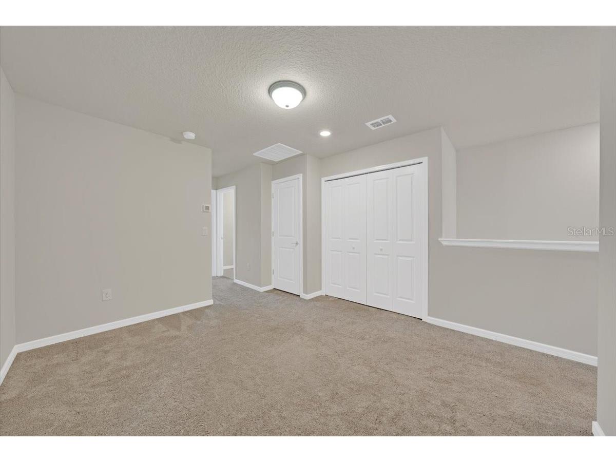 2906 Deer Pine Trail Land O Lakes FL 34638 TB8508284 image28
