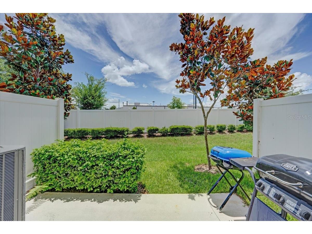 2906 Deer Pine Trail Land O Lakes FL 34638 TB8508284 image37