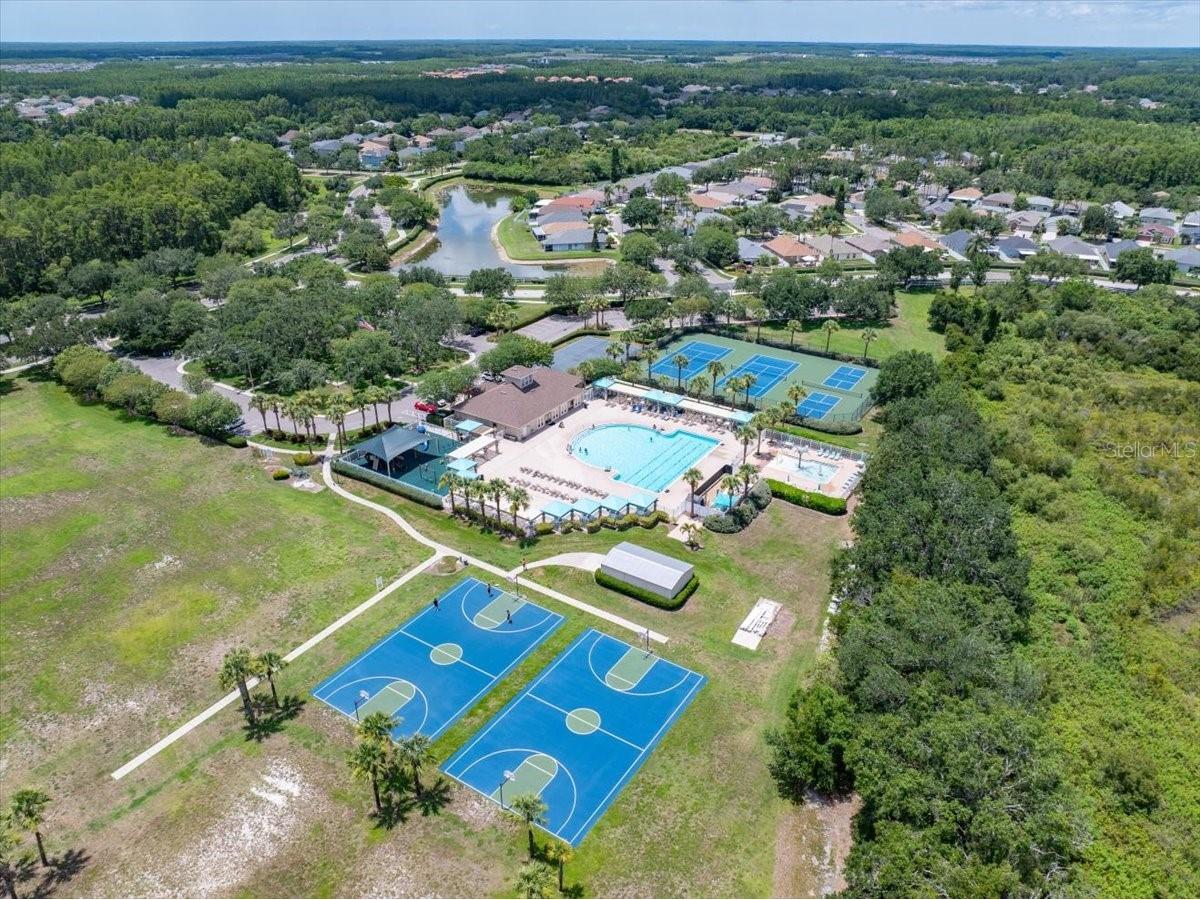 2906 Deer Pine Trail Land O Lakes FL 34638 TB8508284 image42
