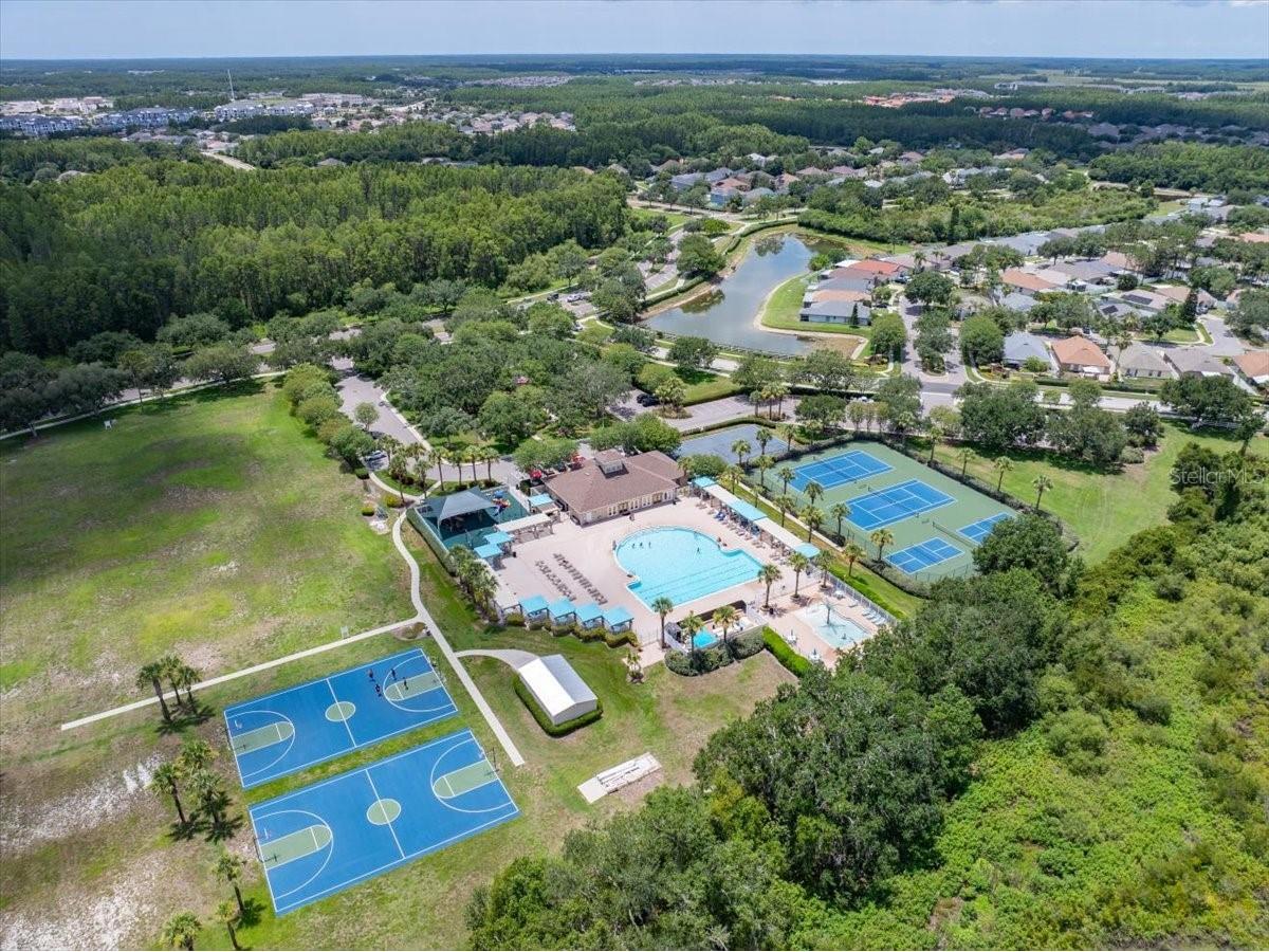 2906 Deer Pine Trail Land O Lakes FL 34638 TB8508284 image43