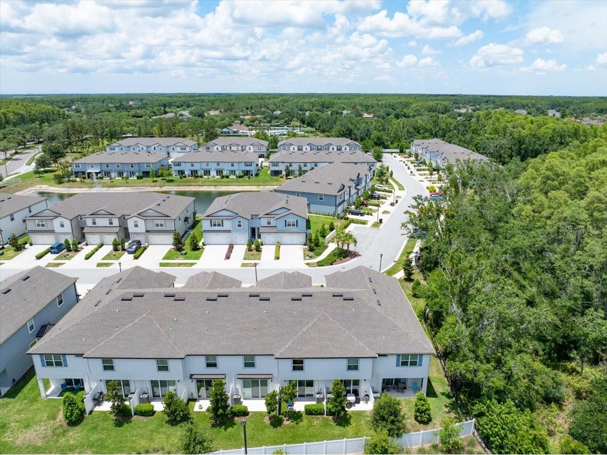 2906 Deer Pine Trail Land O Lakes FL 34638 TB8508284 image45