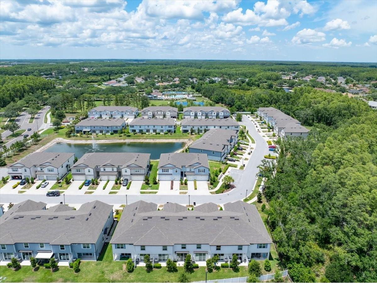 2906 Deer Pine Trail Land O Lakes FL 34638 TB8508284 image46
