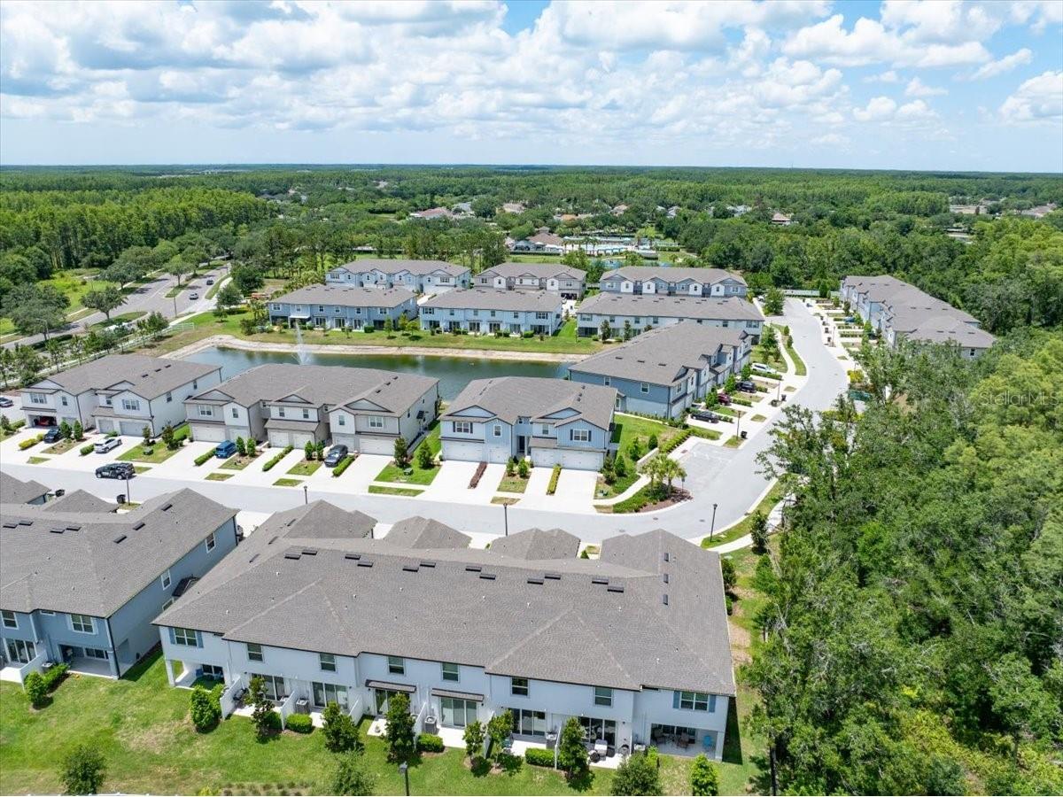 2906 Deer Pine Trail Land O Lakes FL 34638 TB8508284 image47
