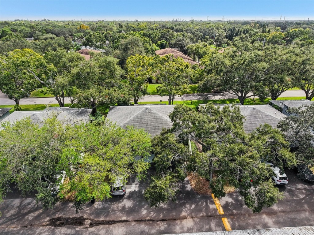 2906 Lichen Lane #B Clearwater FL 33760 TB8432643 image23
