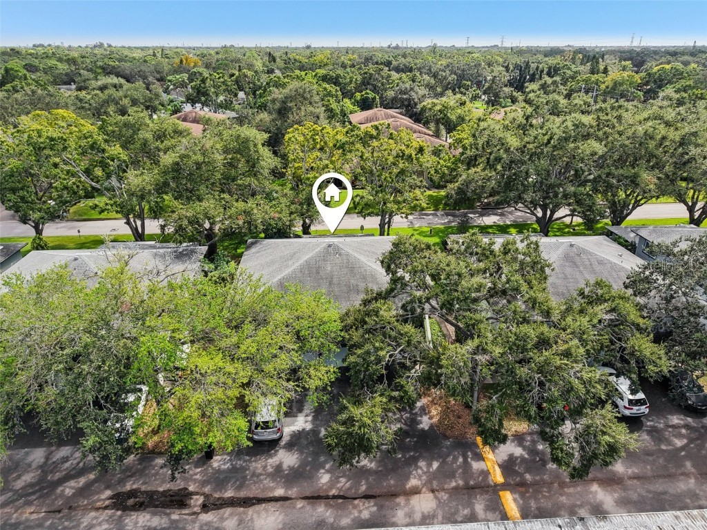 2906 Lichen Lane #B Clearwater FL 33760 TB8432643 image24