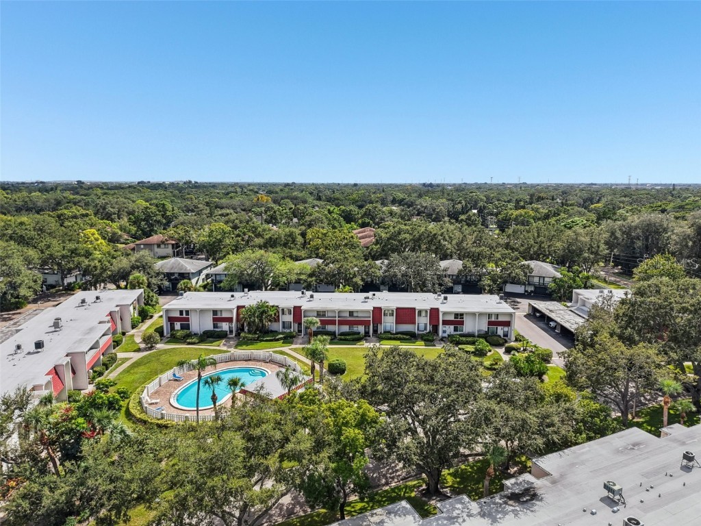 2906 Lichen Lane #B Clearwater FL 33760 TB8432643 image25