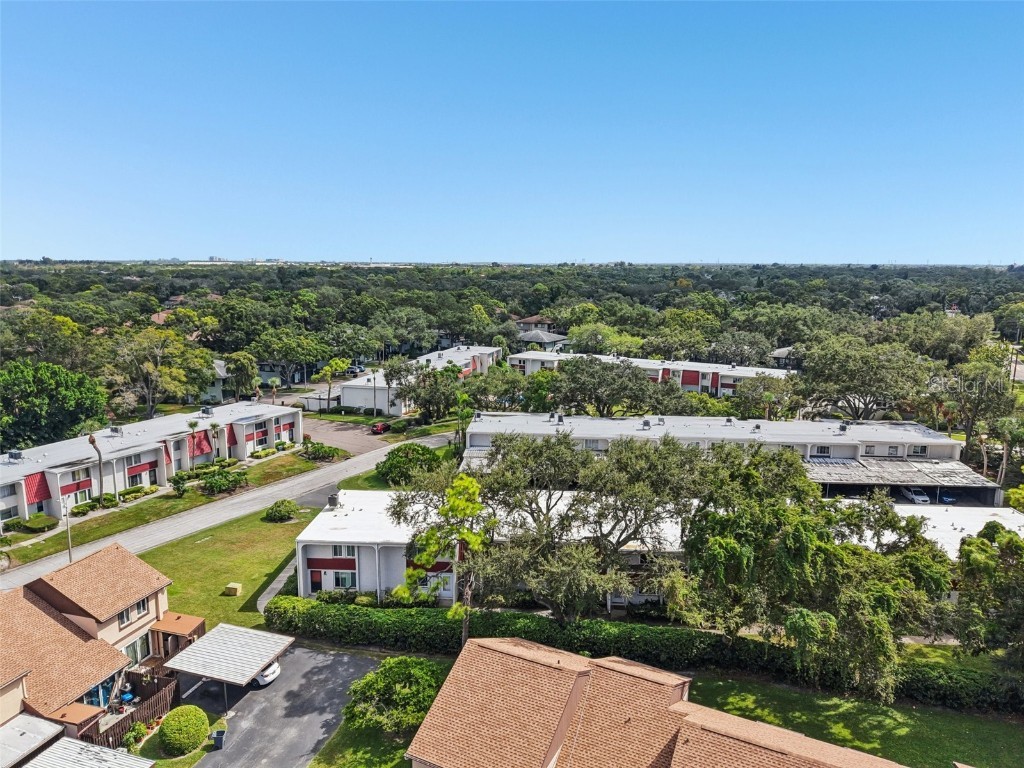 2906 Lichen Lane #B Clearwater FL 33760 TB8432643 image28