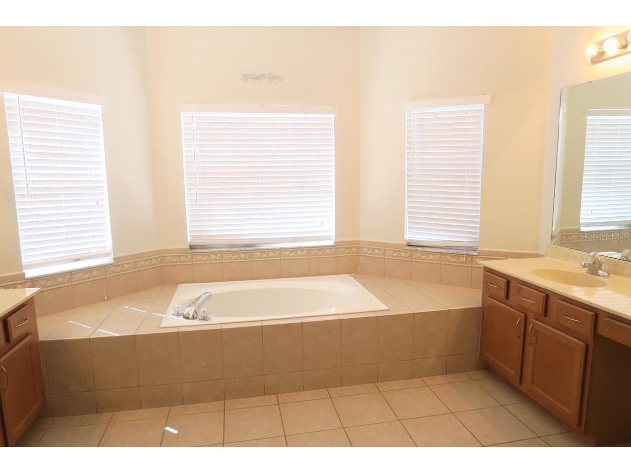 2906 Sweetspire Circle Kissimmee FL 34746 O6412803 image15