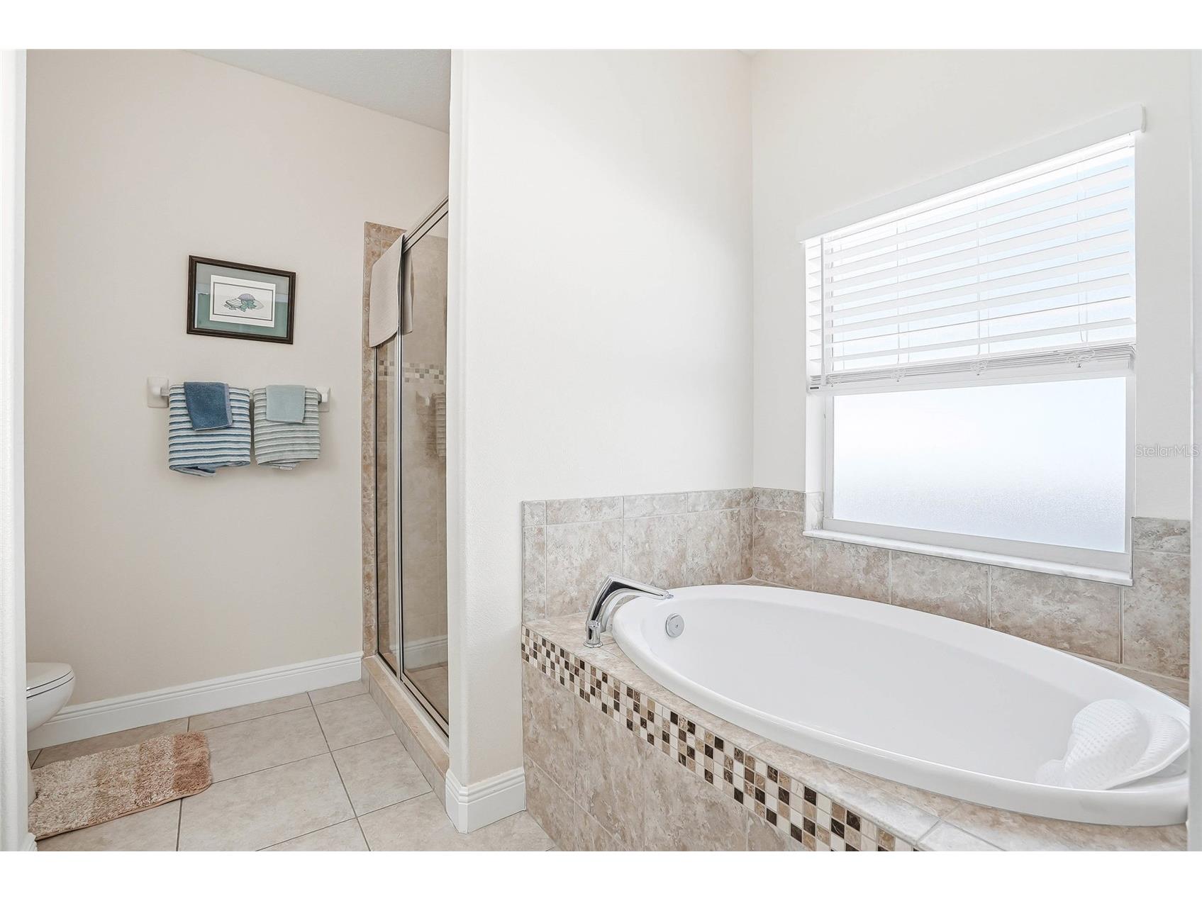 2906 W Douglas Street Tampa FL 33607 TB8511934 image19
