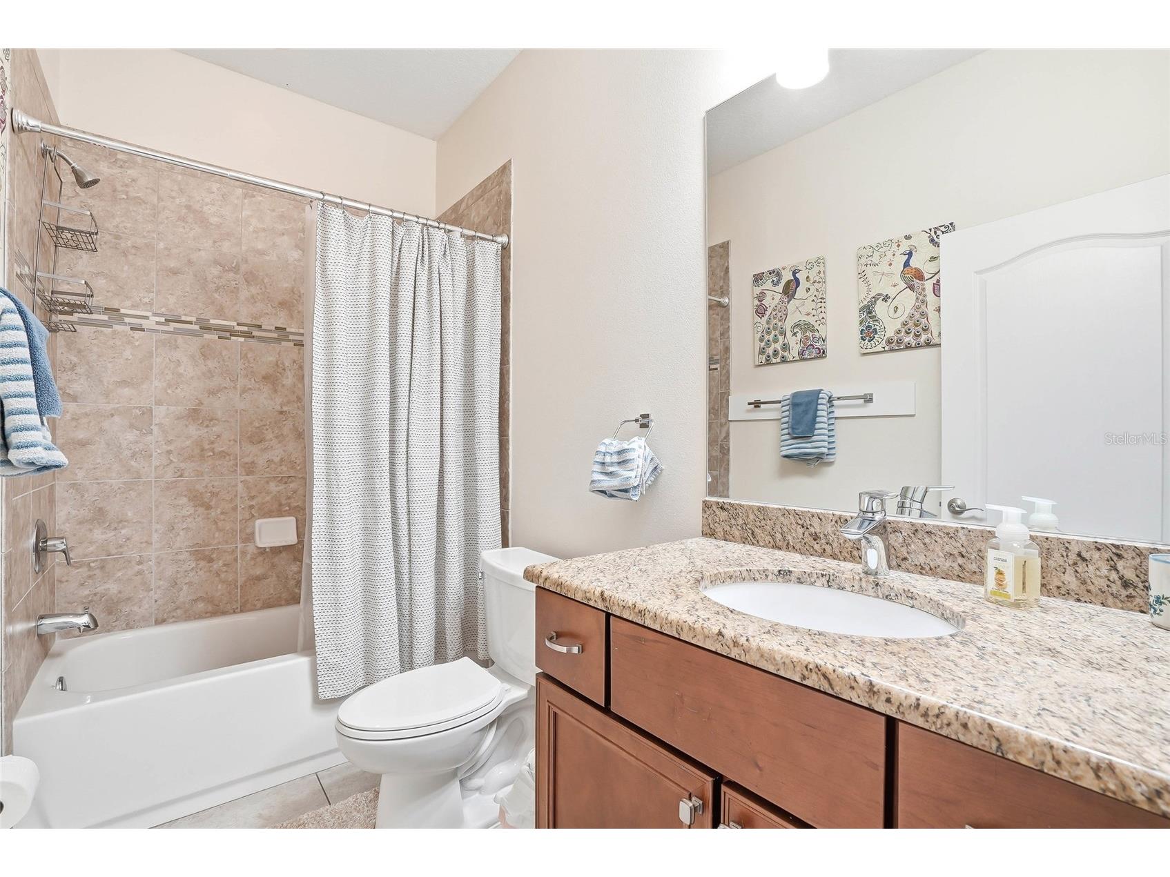 2906 W Douglas Street Tampa FL 33607 TB8511934 image22