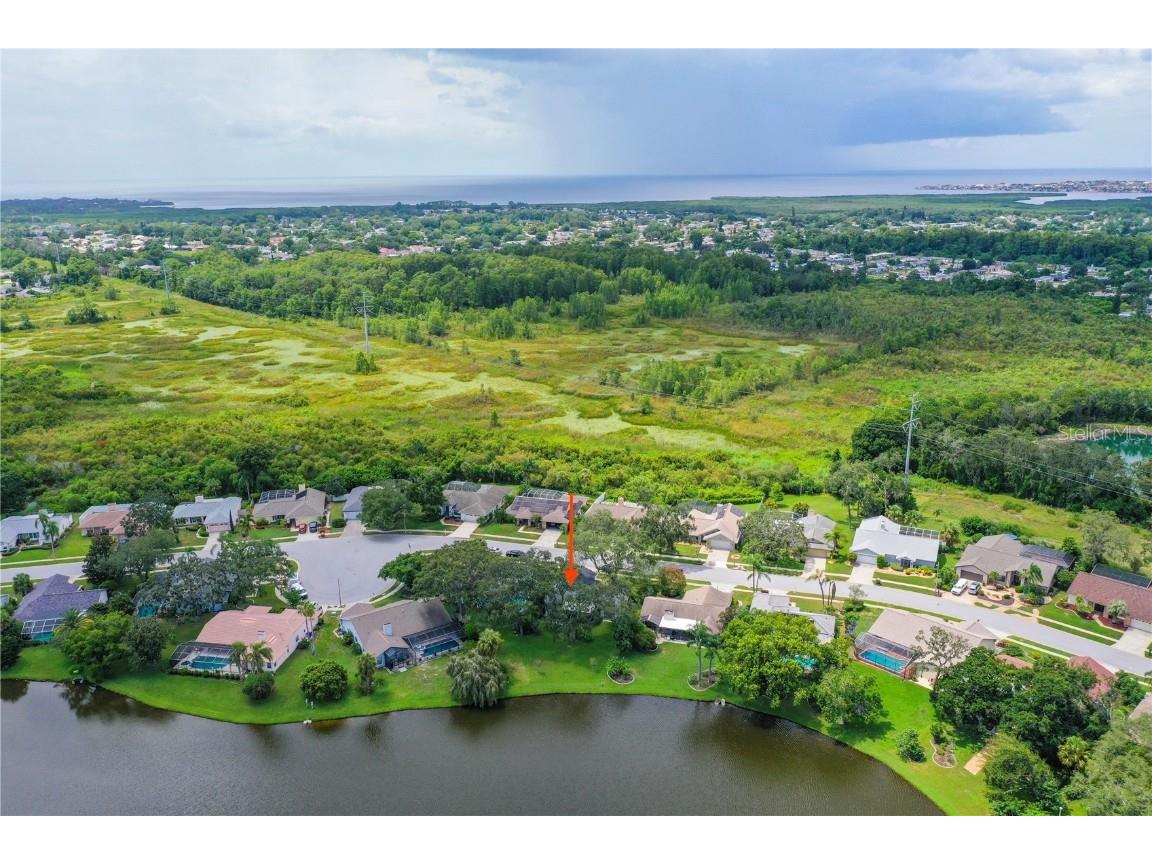 2906 Windridge Drive Holiday FL 34691 TB8406249 image2