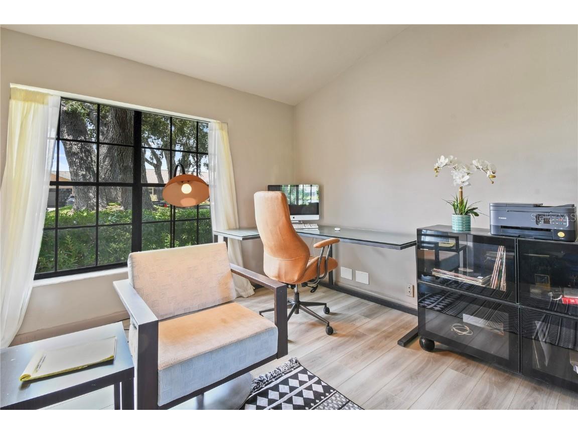 2906 Windridge Drive Holiday FL 34691 TB8406249 image23