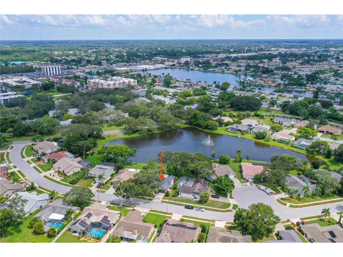 2906 Windridge Drive Holiday FL 34691 TB8406249 image3