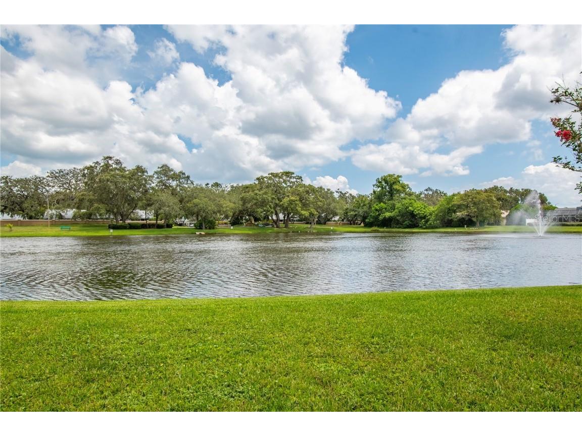 2906 Windridge Drive Holiday FL 34691 TB8406249 image36