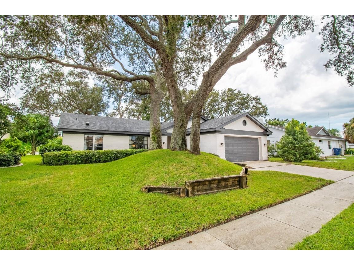 2906 Windridge Drive Holiday FL 34691 TB8406249 image41